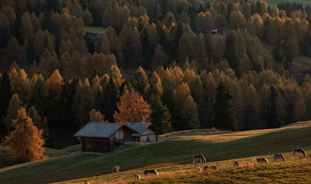 A rustic mountain cabin on a grassy hillside, framed by a golden autumn forest with animals grazing nearby.